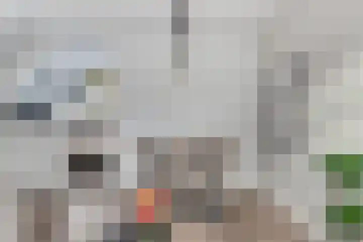 Grasbeemd 3 Oosterhout thumbnail 9