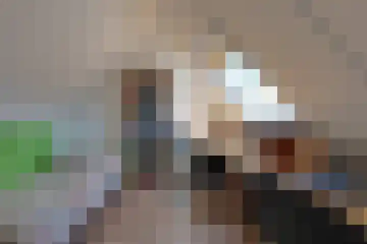 Grasbeemd 32 Assen thumbnail 22