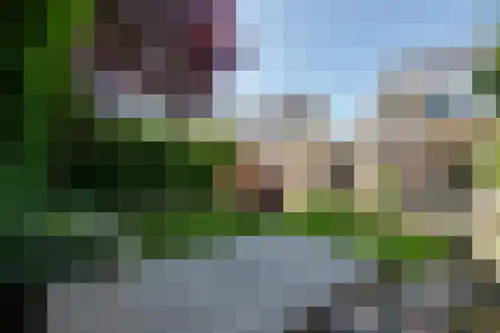 Grasbeemd 32 Assen thumbnail 26