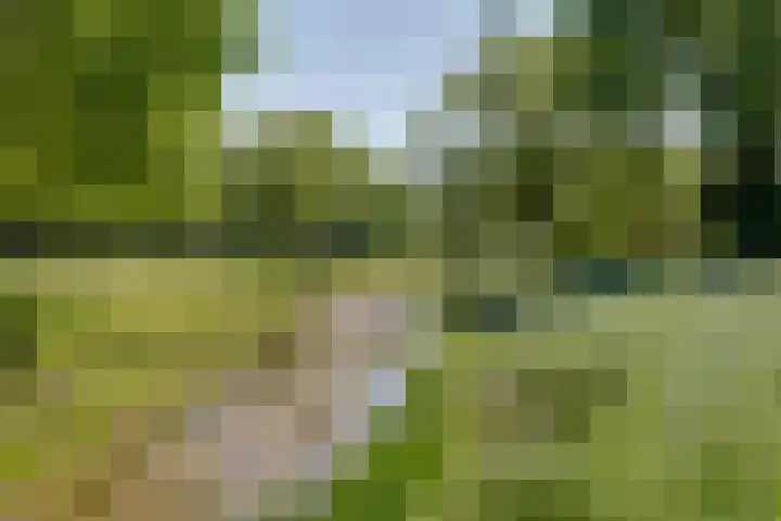 Grasbeemd 32 Assen thumbnail 29