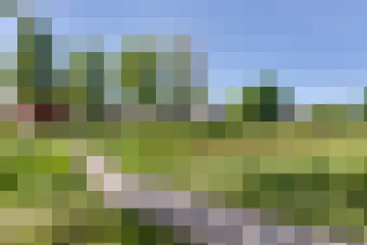 Grasbeemd 32 Assen thumbnail 30
