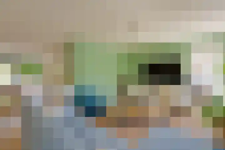 Grasbeemd 32 Assen thumbnail 4