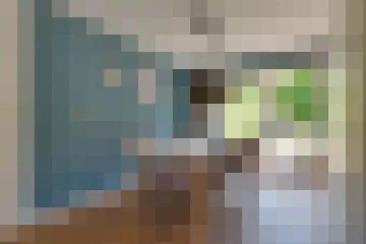 Grasbeemd 32 Assen thumbnail 7