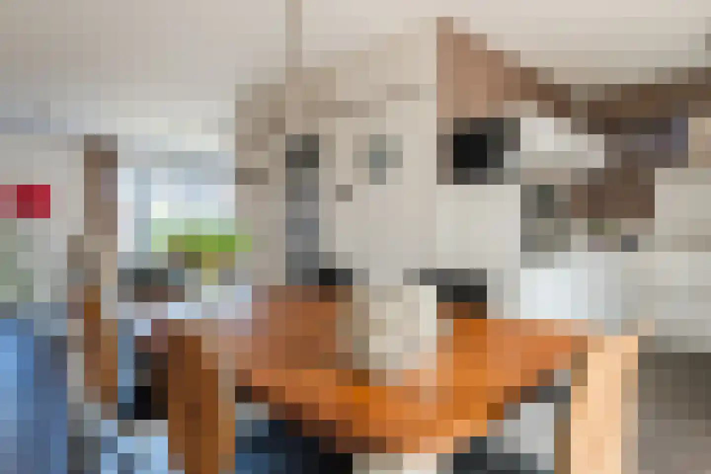 Grasbeemd 8 Assen thumbnail 19