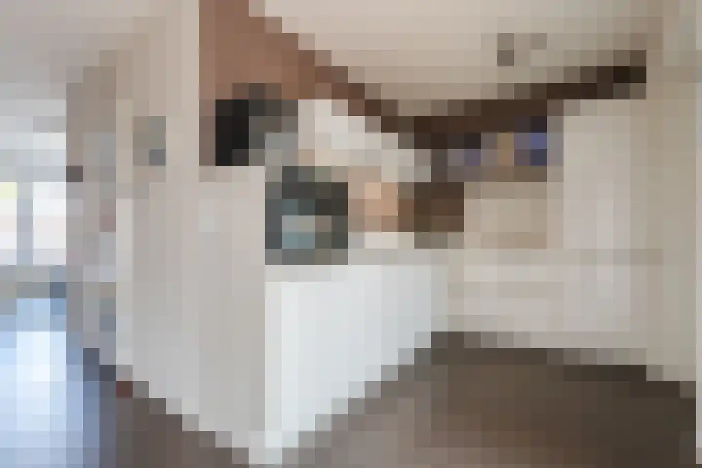 Grasbeemd 8 Assen thumbnail 20