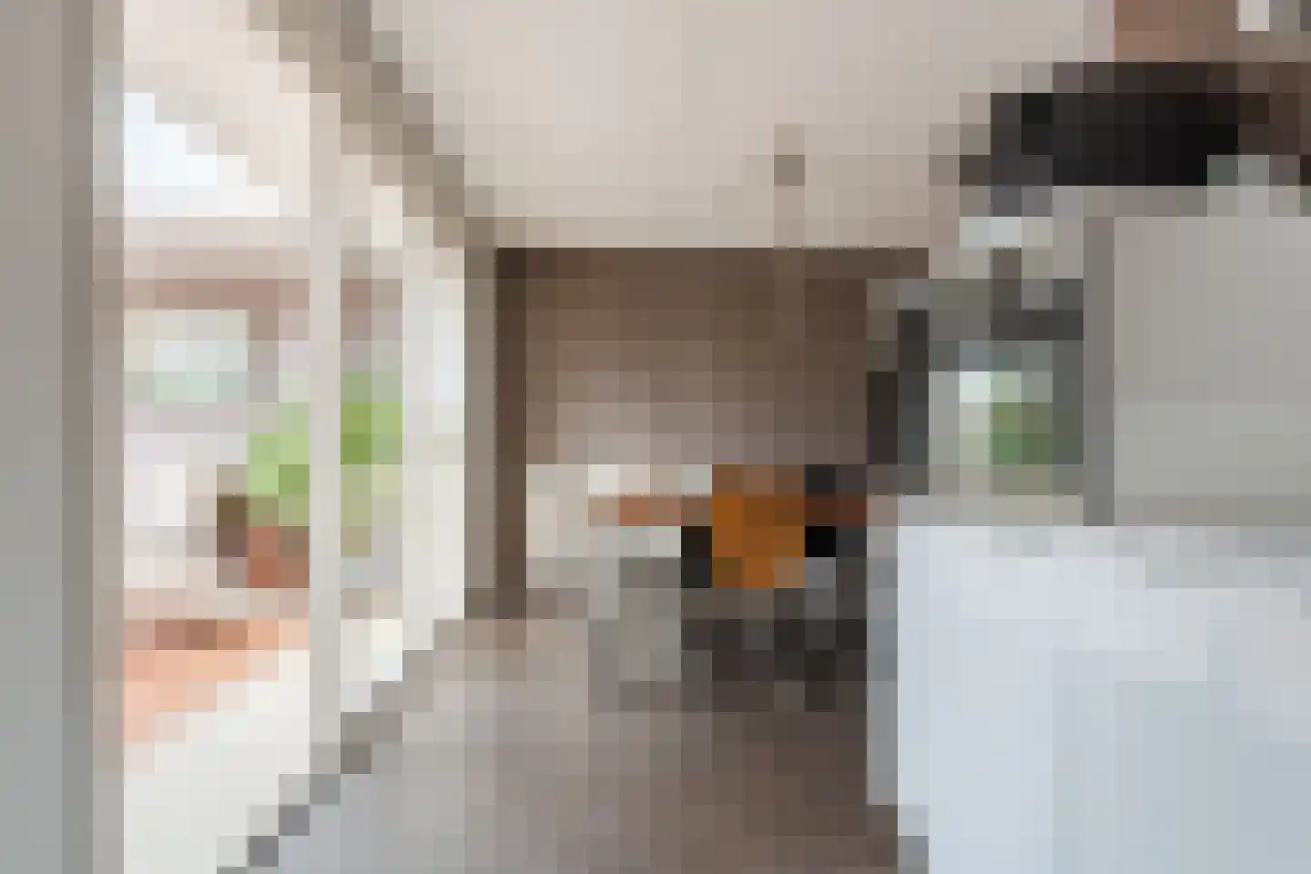 Grasbeemd 8 Assen thumbnail 24