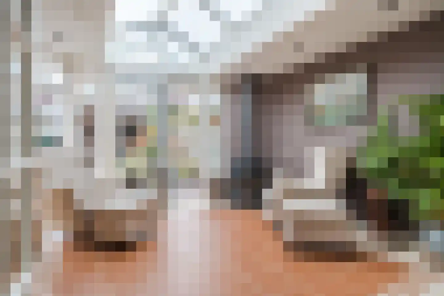 Grasbeemd 8 Assen thumbnail 27