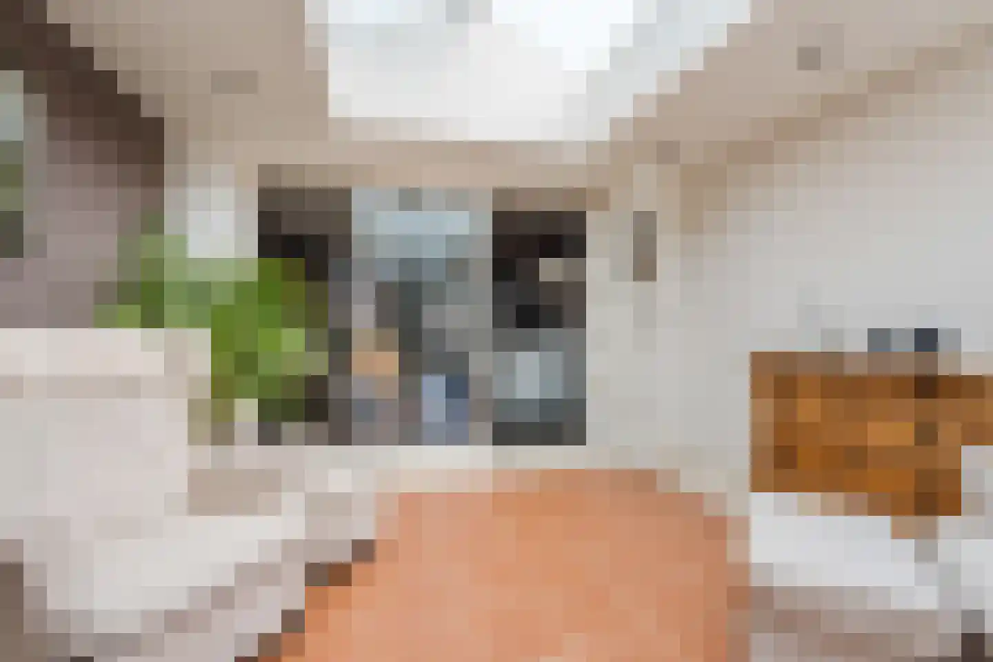 Grasbeemd 8 Assen thumbnail 30