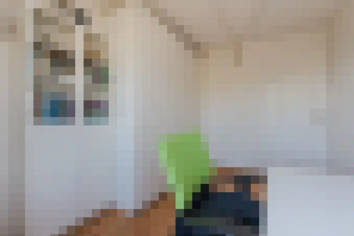 Grasbeemd 8 Assen thumbnail 39