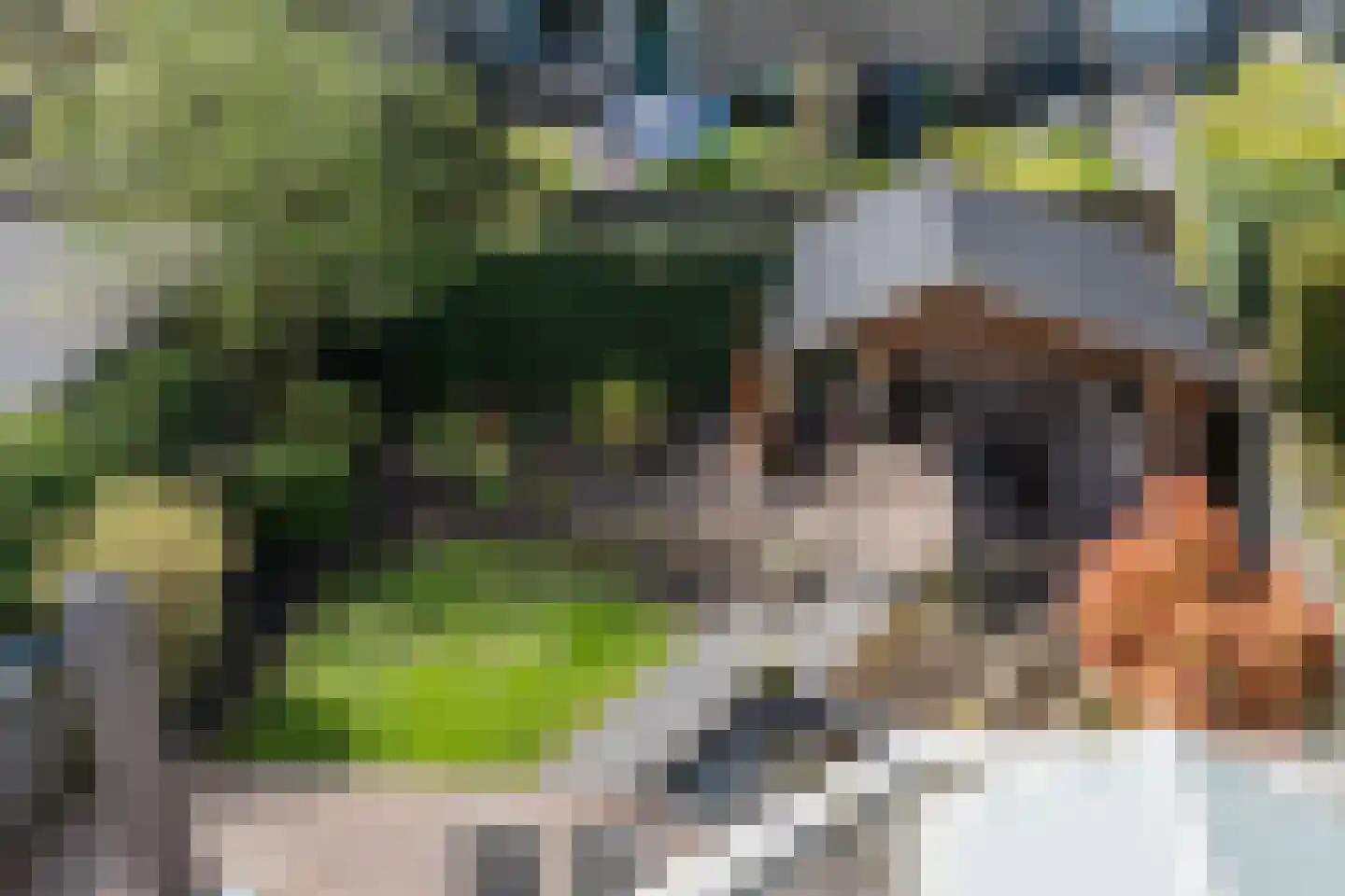 Grasbeemd 8 Assen thumbnail 56