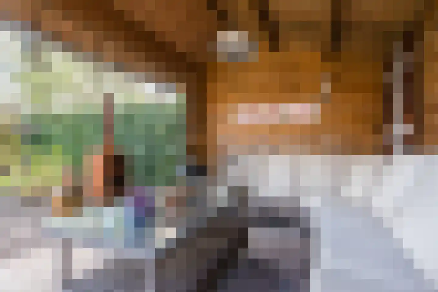 Grasbeemd 8 Assen thumbnail 61