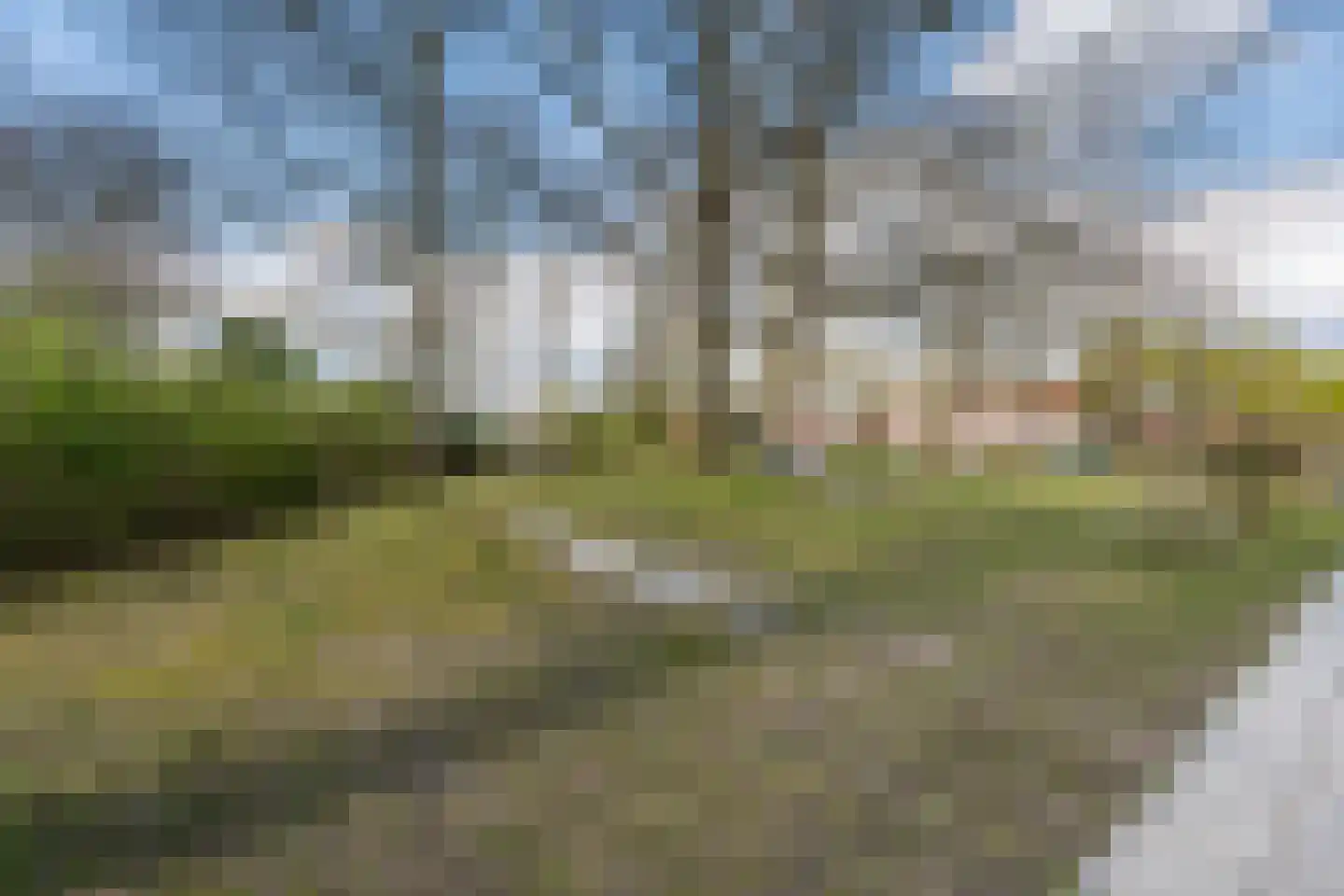 Grasbeemd 8 Assen thumbnail 67
