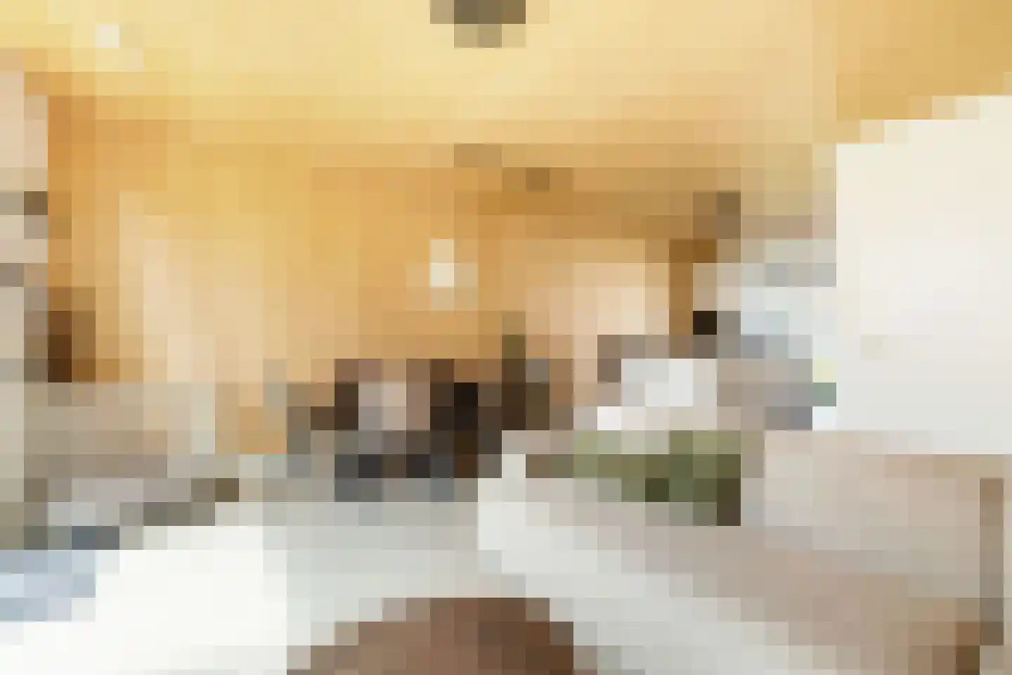 Grasbloem 10 A Eindhoven thumbnail 11