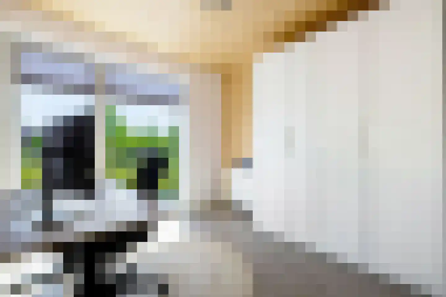 Grasbloem 10 A Eindhoven thumbnail 26