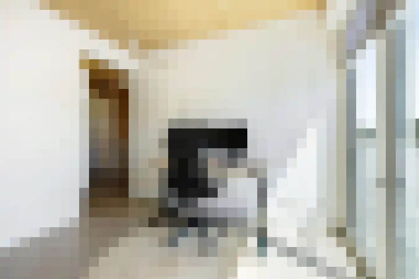Grasbloem 10 A Eindhoven thumbnail 27
