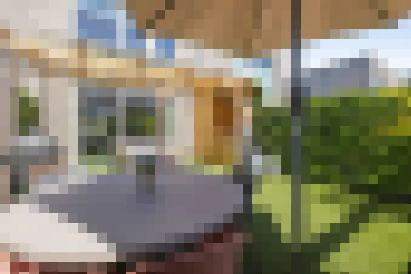 Grasbloem 10 A Eindhoven thumbnail 38