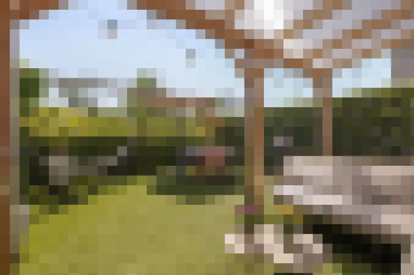 Grasbloem 10 A Eindhoven thumbnail 39