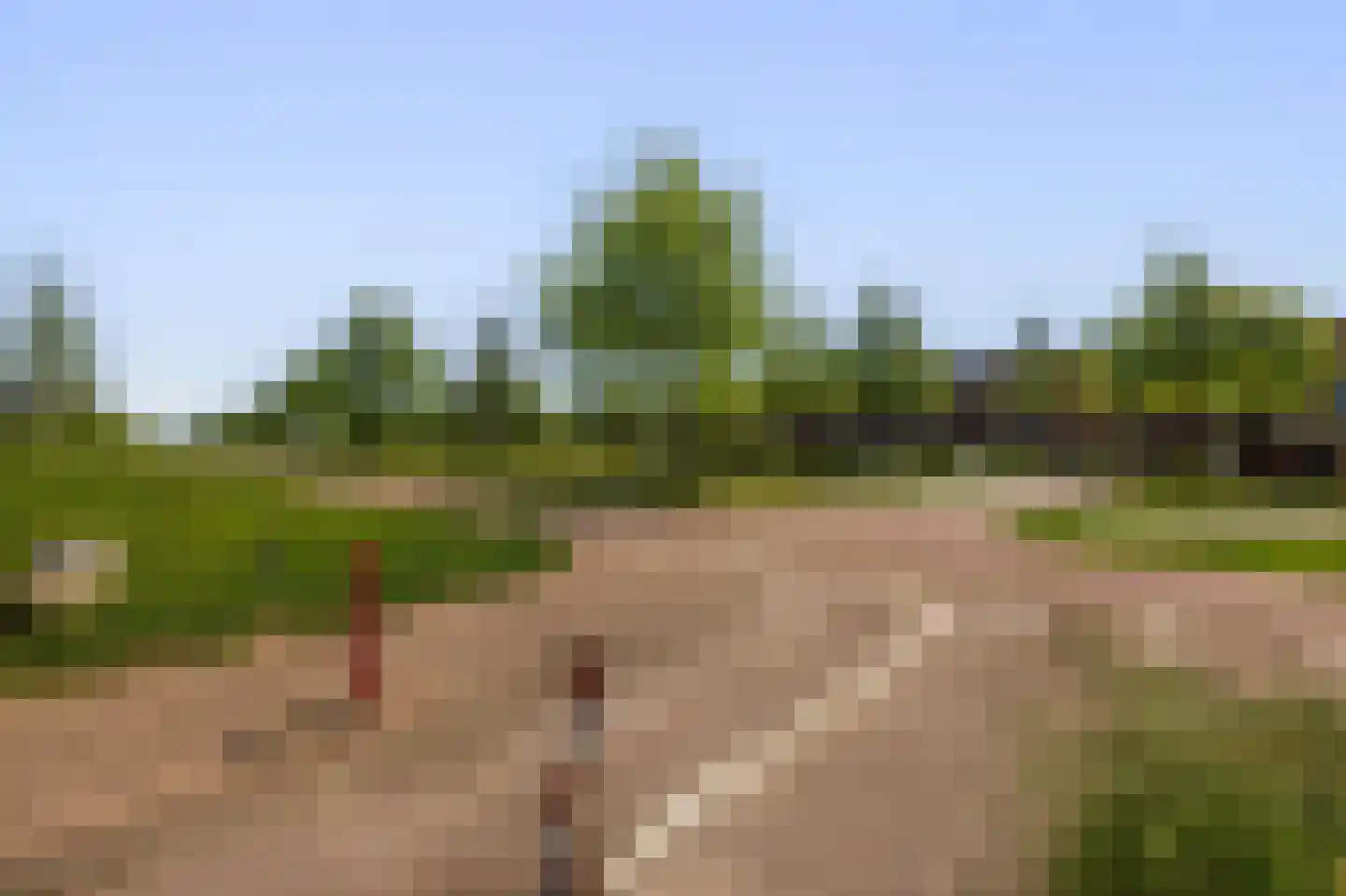 Grasbloem 10 A Eindhoven thumbnail 47