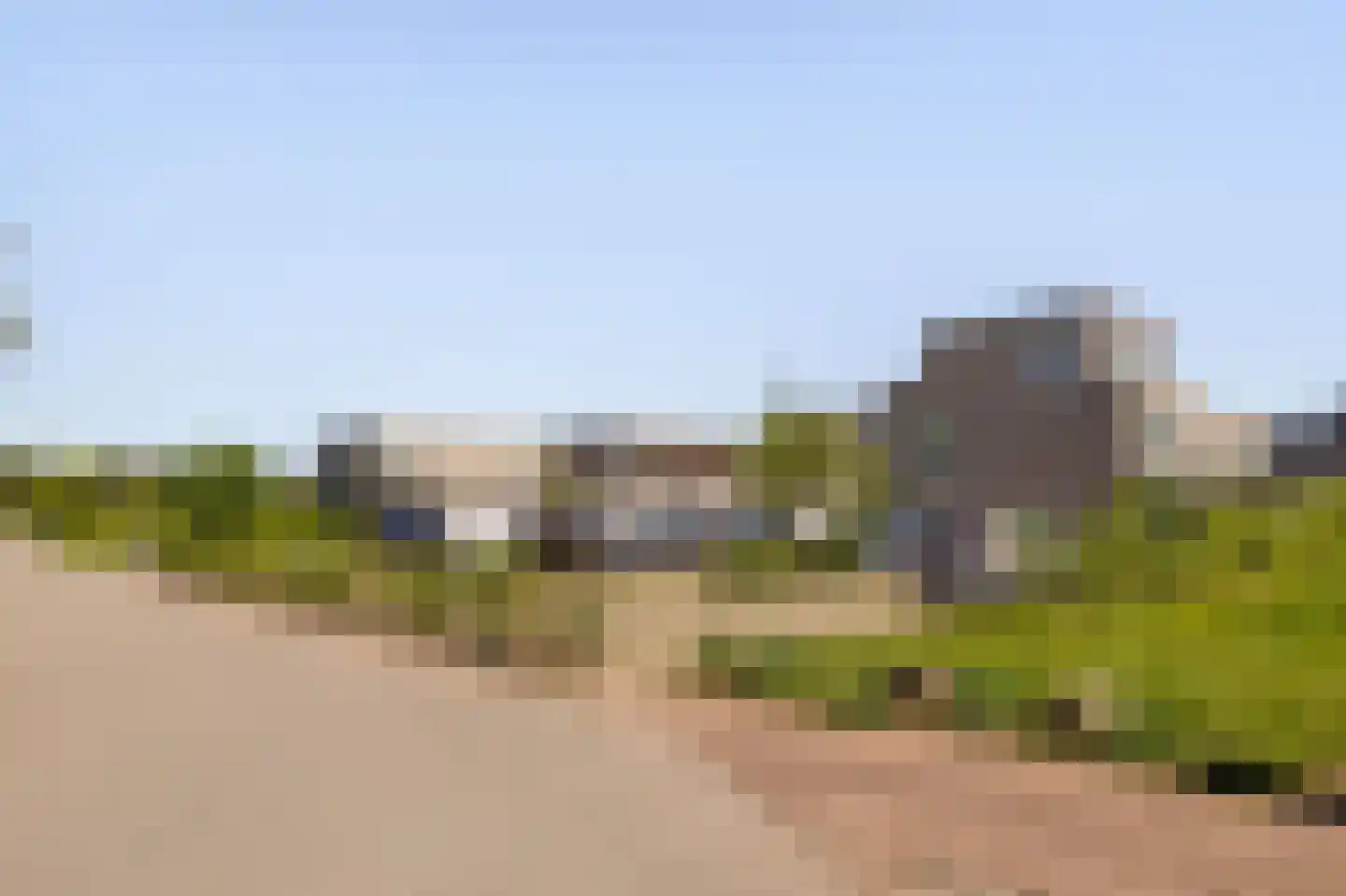 Grasbloem 10 A Eindhoven thumbnail 48