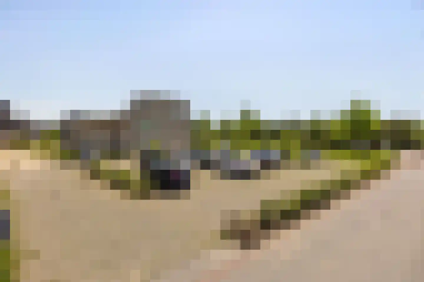 Grasbloem 10 A Eindhoven thumbnail 49