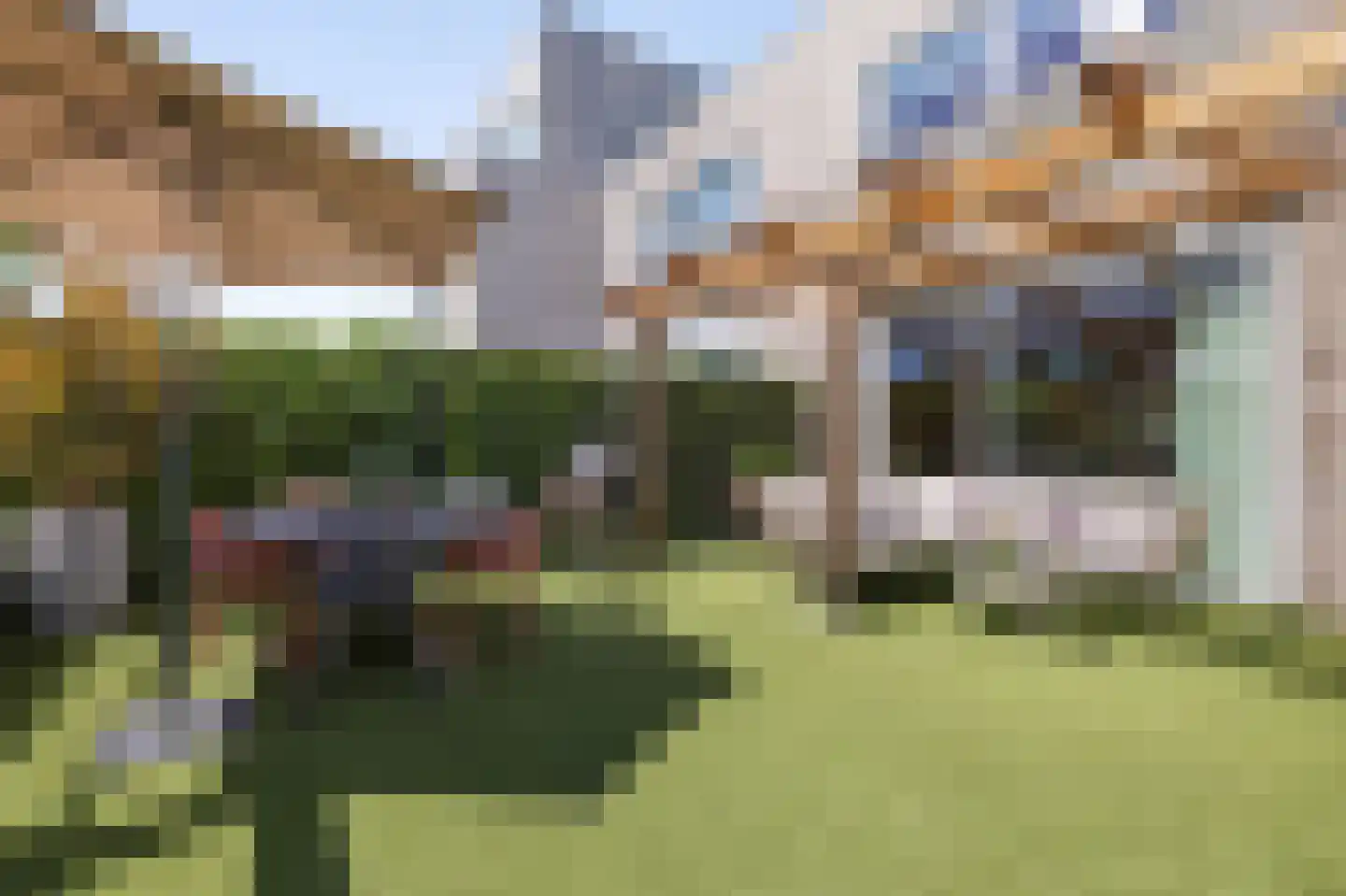 Grasbloem 10 A Eindhoven thumbnail 5
