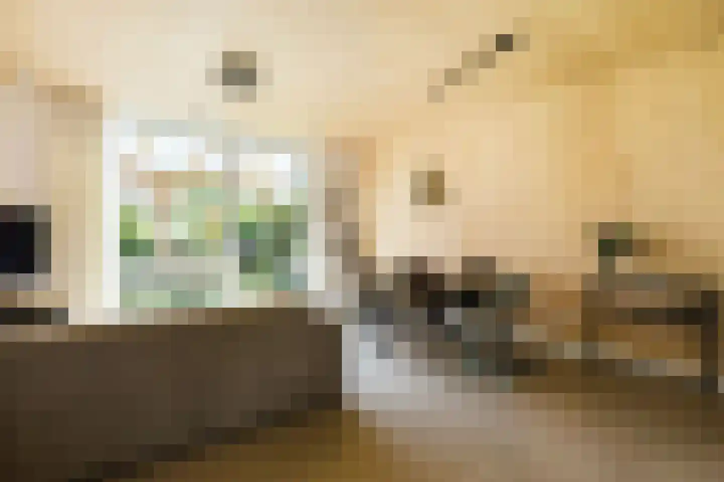 Grasbloem 10 A Eindhoven thumbnail 8