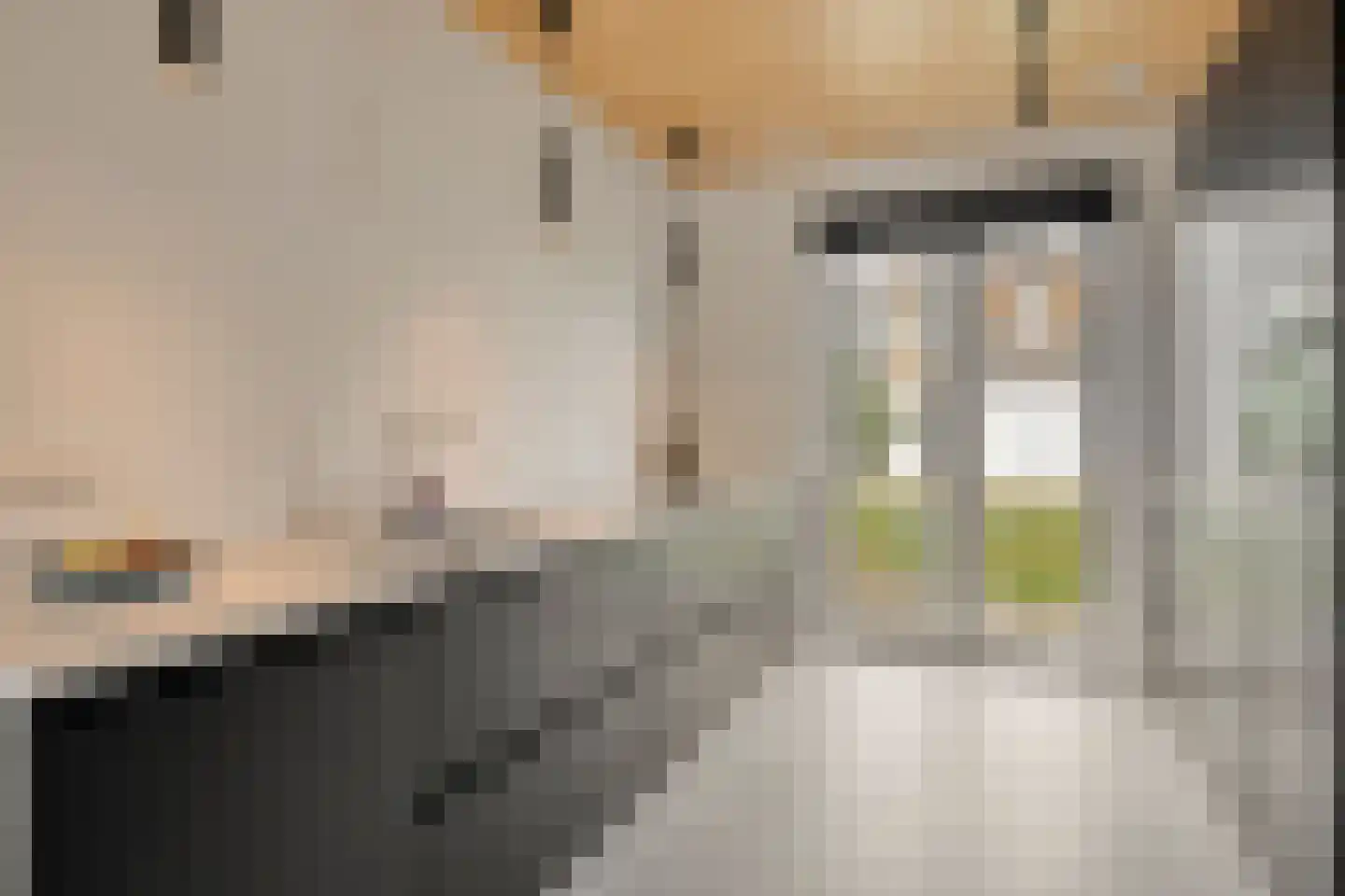 Grasbloem 10 B Eindhoven thumbnail 13