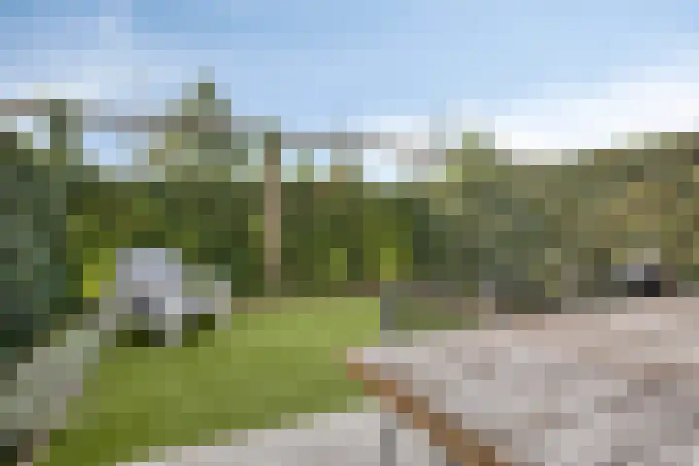 Grasbloem 10 B Eindhoven thumbnail 34