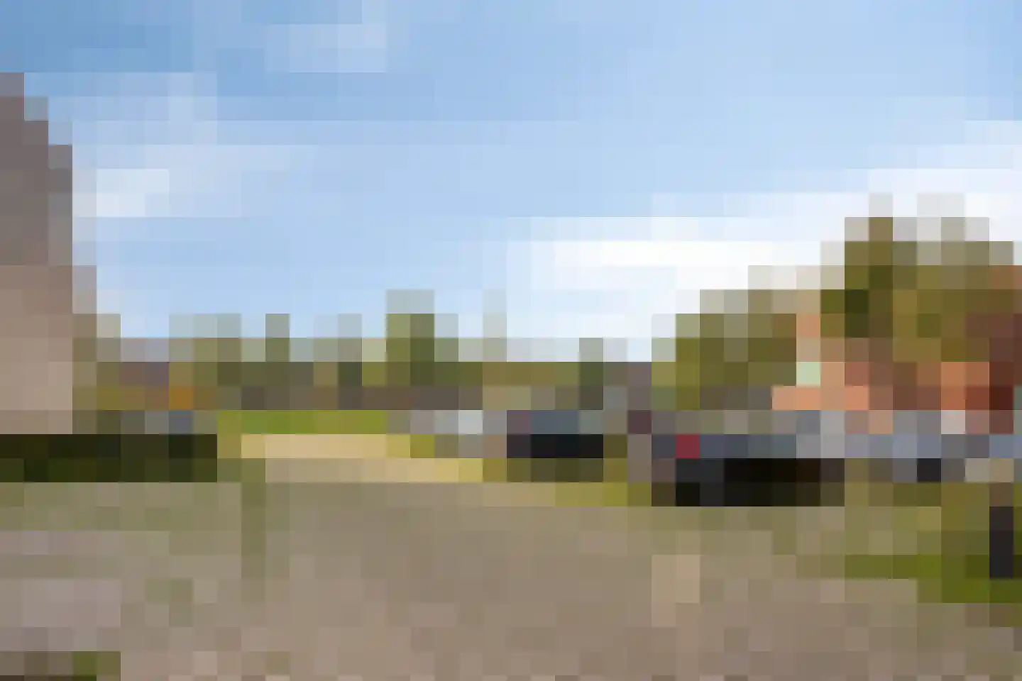 Grasbloem 10 B Eindhoven thumbnail 39