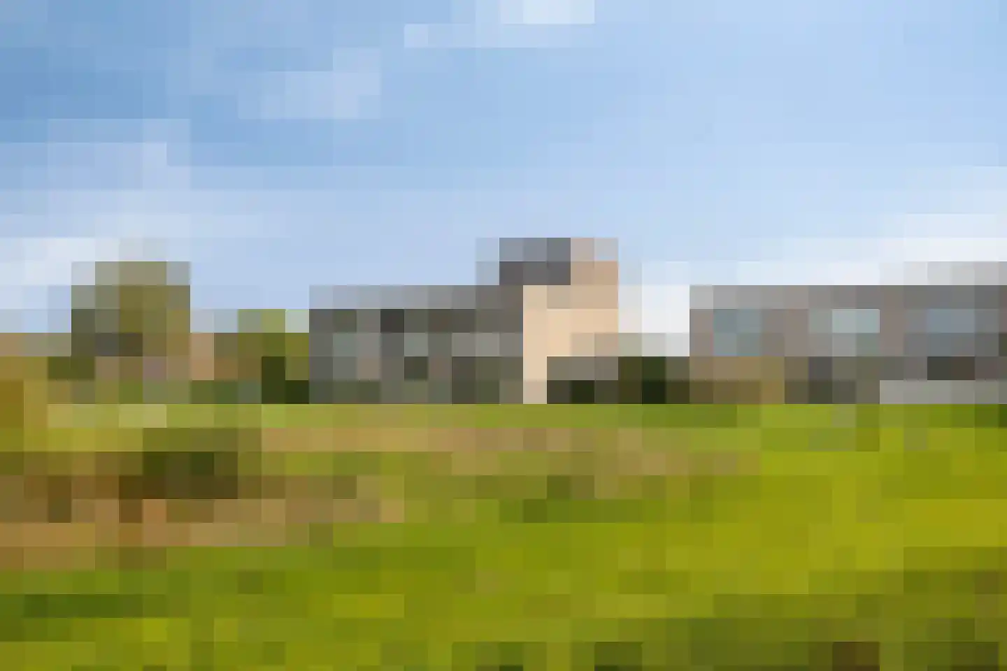 Grasbloem 10 B Eindhoven thumbnail 41