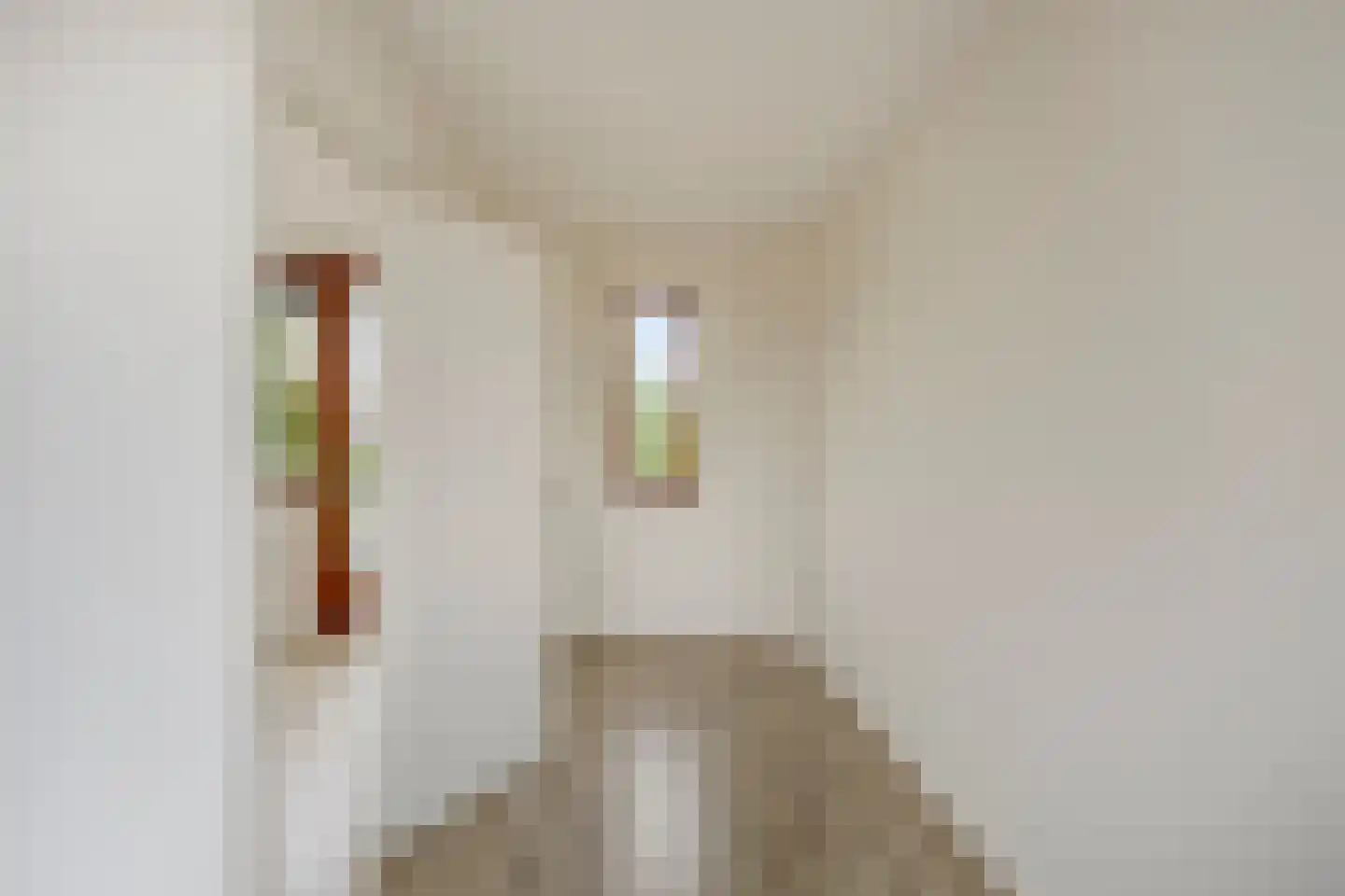 Grasbloem 109 Eindhoven thumbnail 36