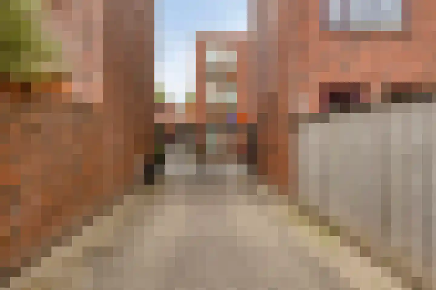 Grasbloem 109 Eindhoven thumbnail 46