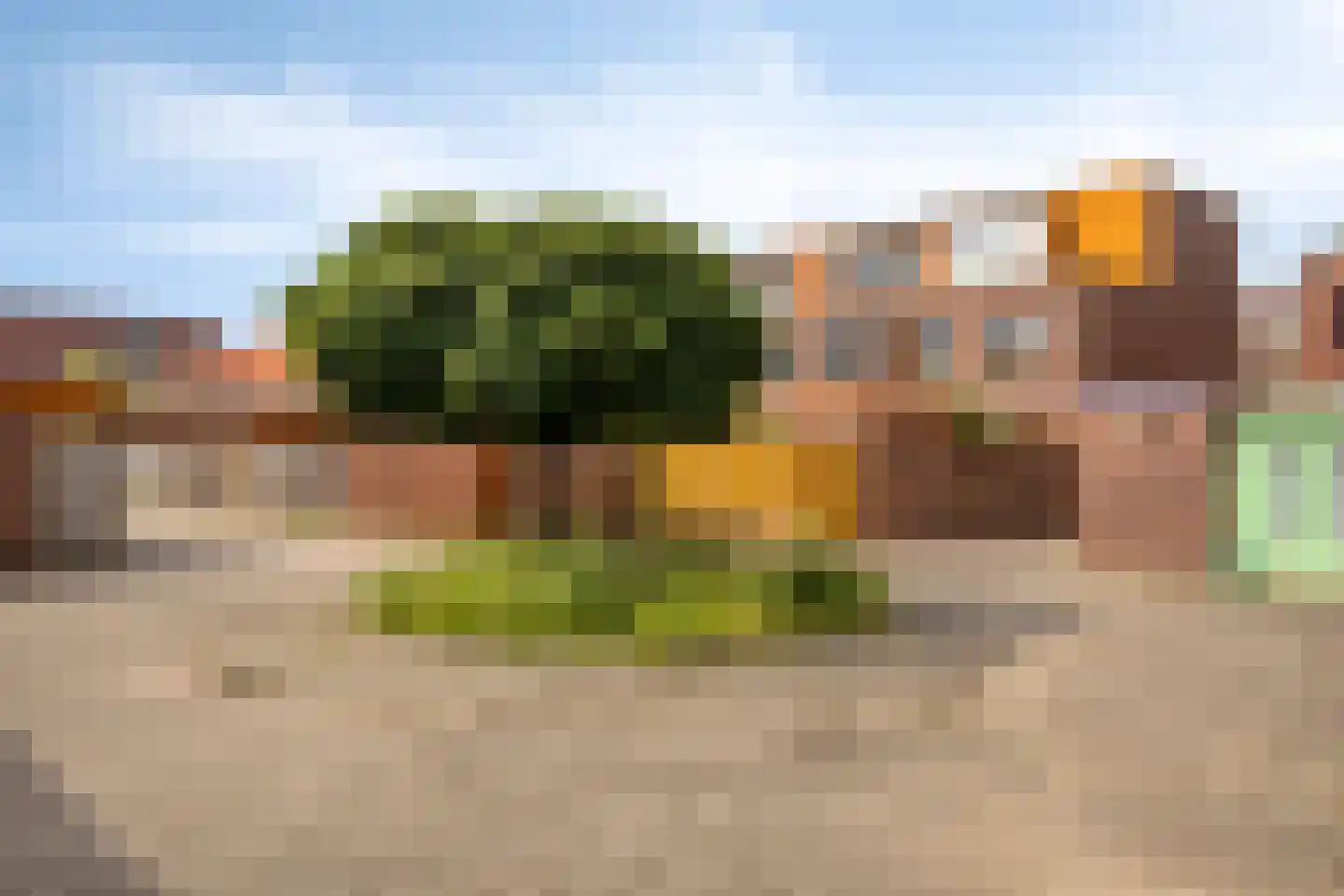 Grasbloem 109 Eindhoven thumbnail 46