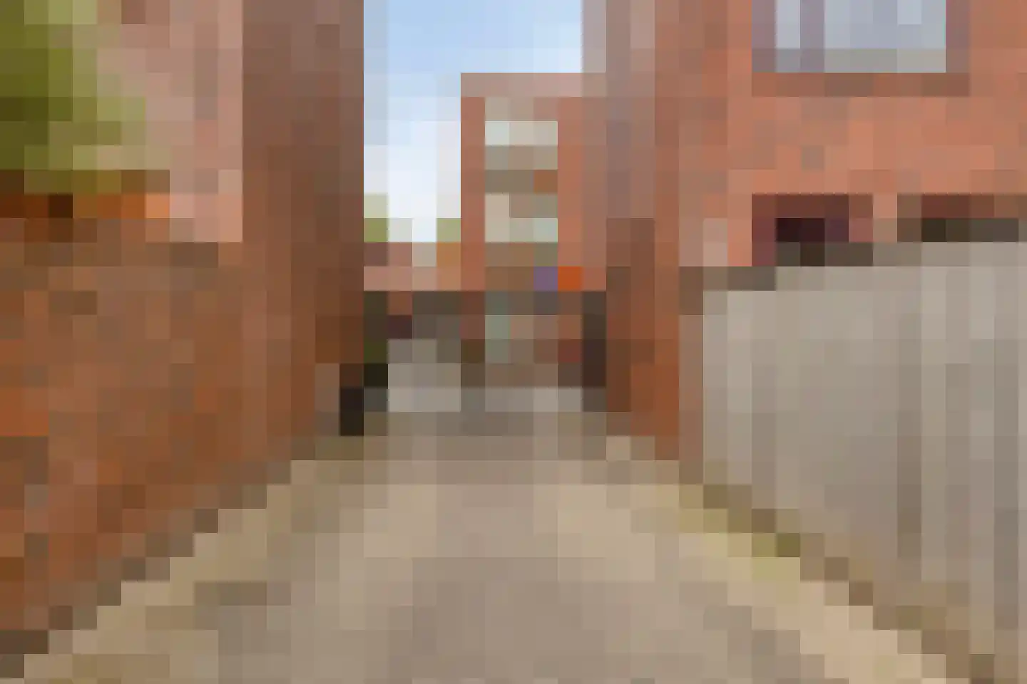 Grasbloem 109 Eindhoven thumbnail 47