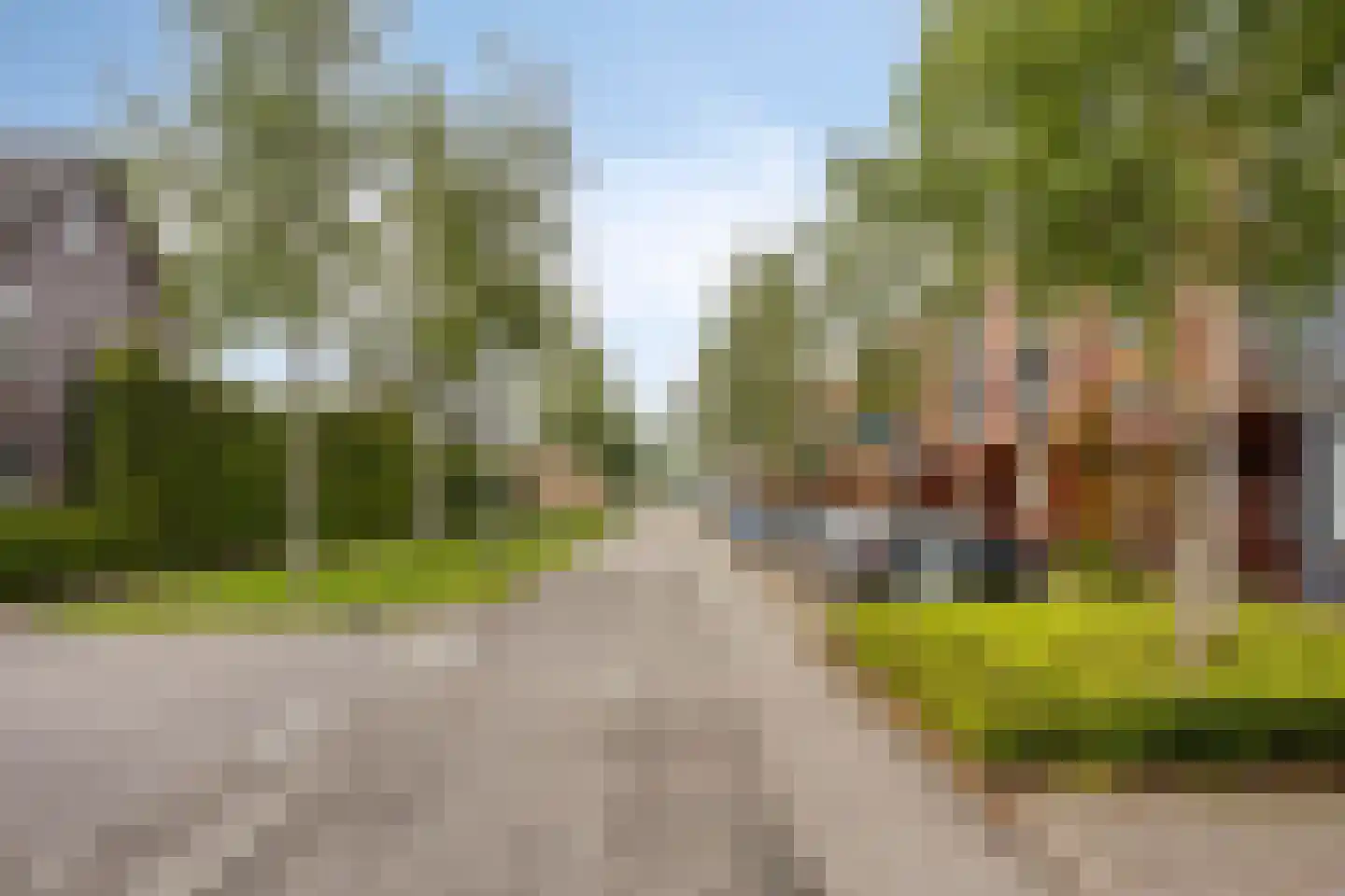 Grasbloem 109 Eindhoven thumbnail 48
