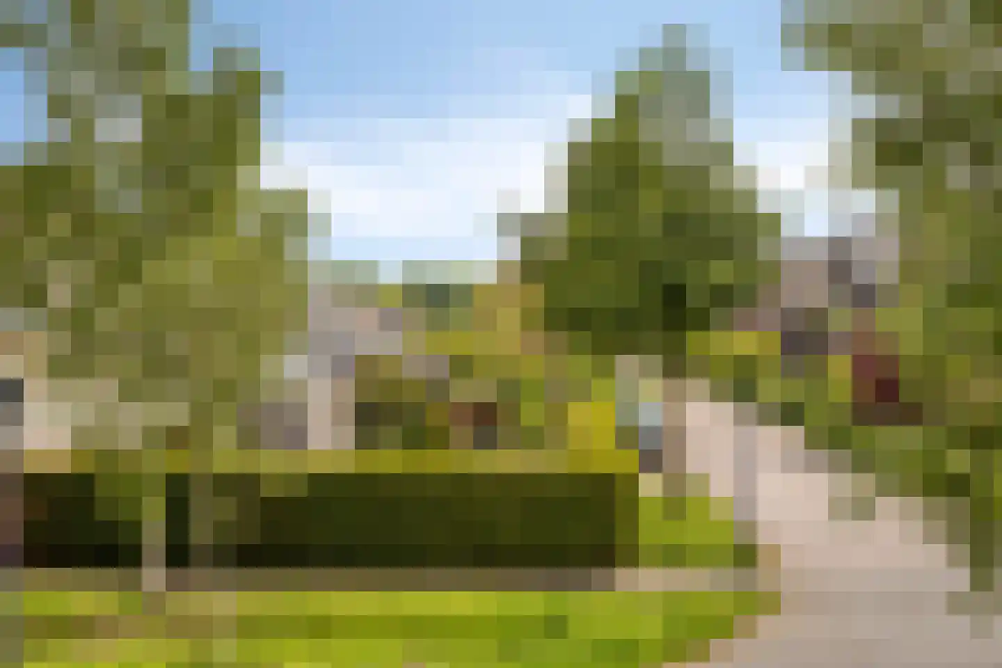 Grasbloem 109 Eindhoven thumbnail 5