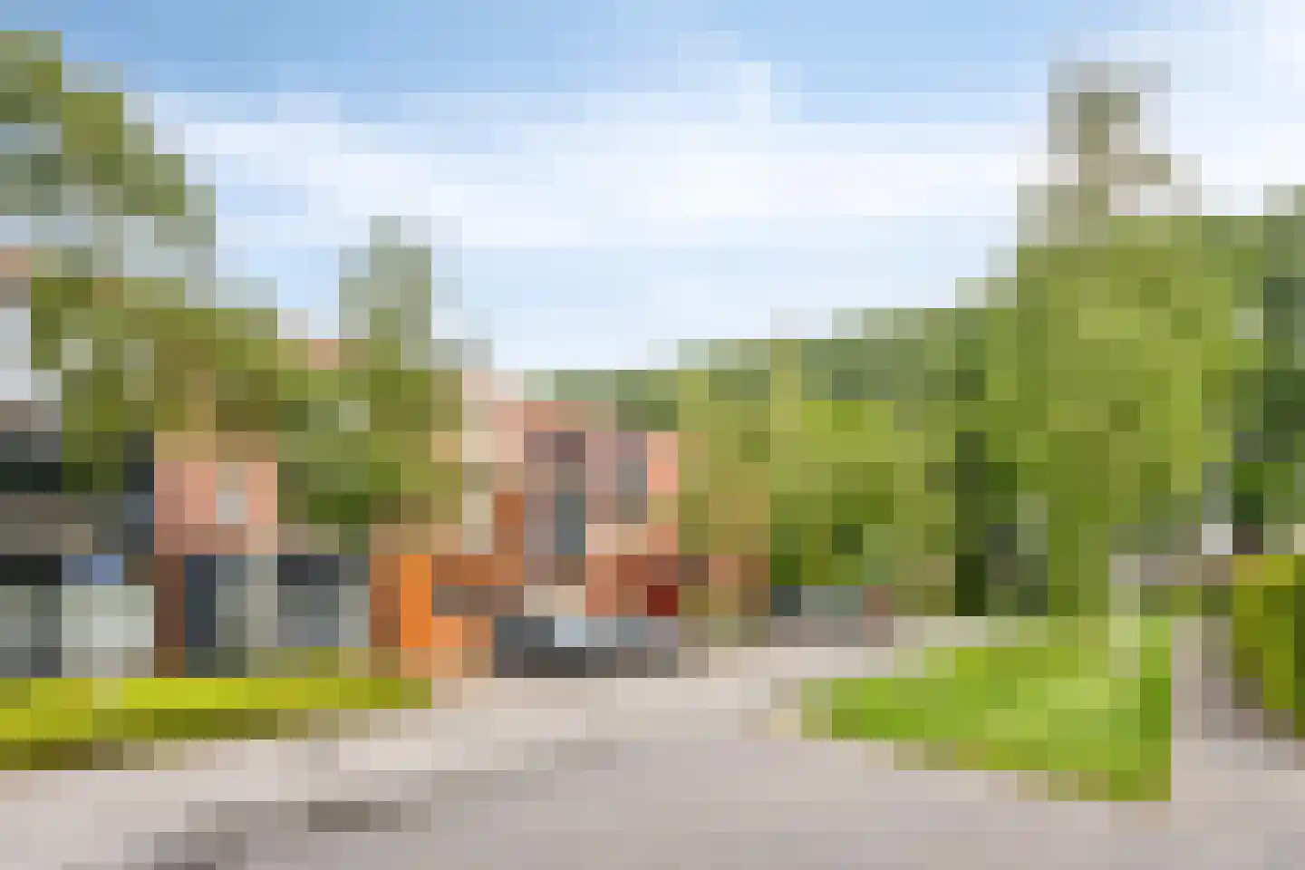 Grasbloem 109 Eindhoven thumbnail 5