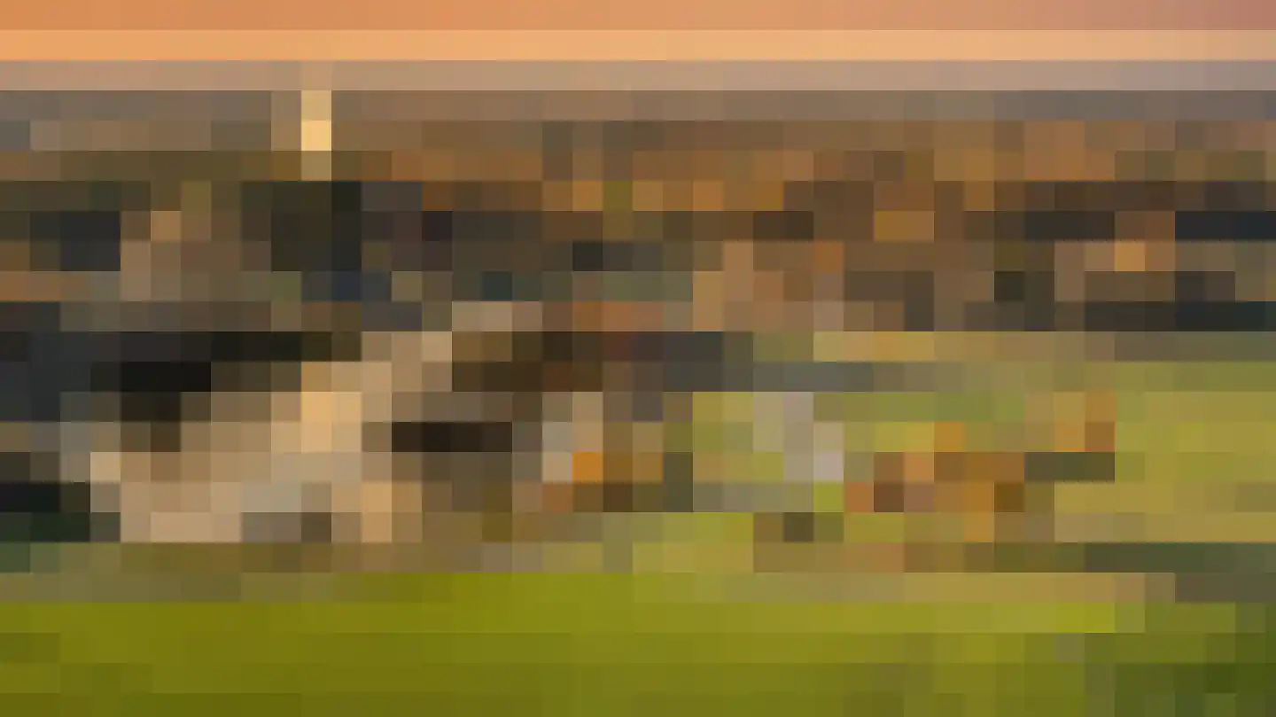 Grasbloem 109 Eindhoven thumbnail 50