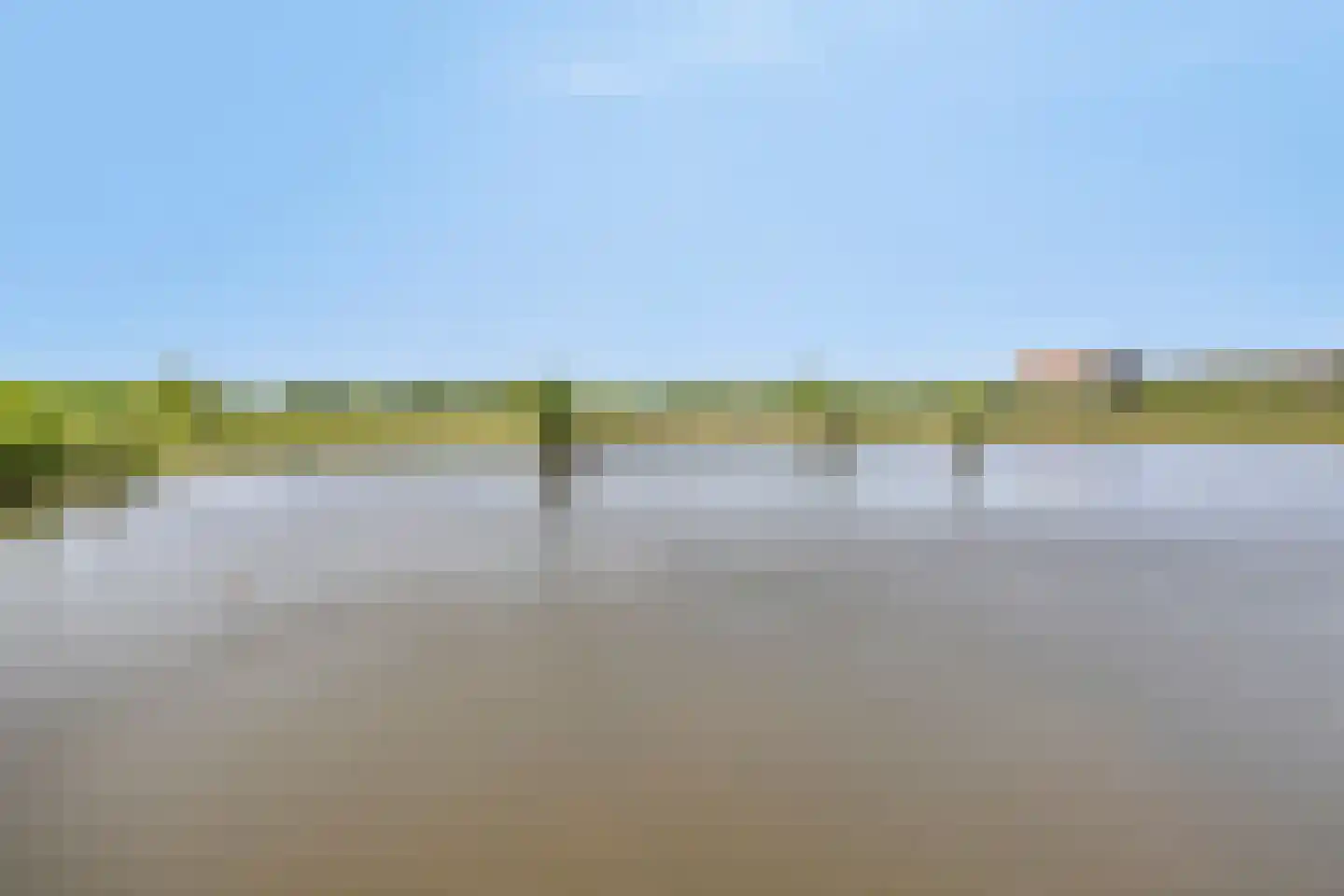 Grasbloem 109 Eindhoven thumbnail 50