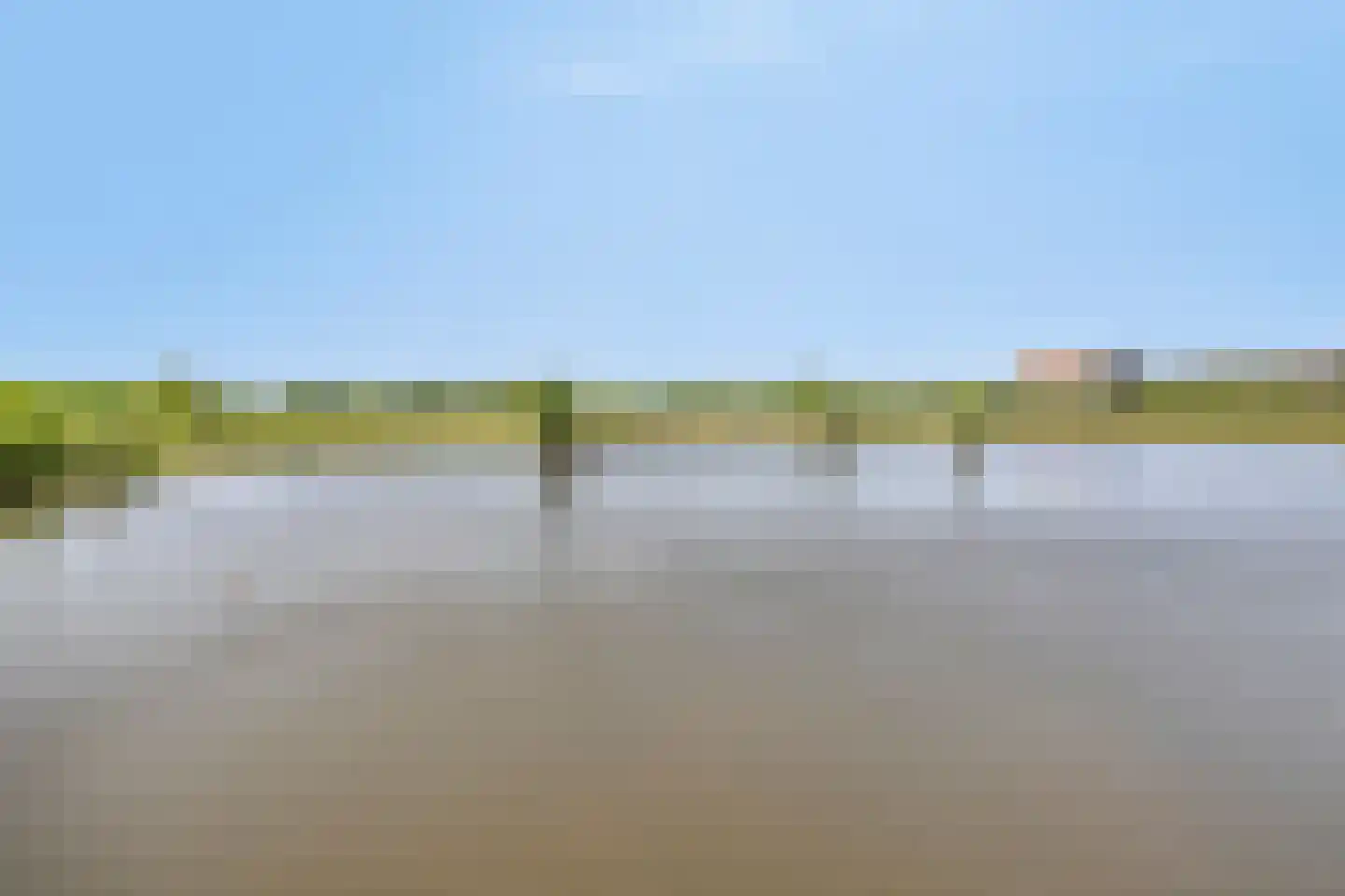 Grasbloem 109 Eindhoven thumbnail 51