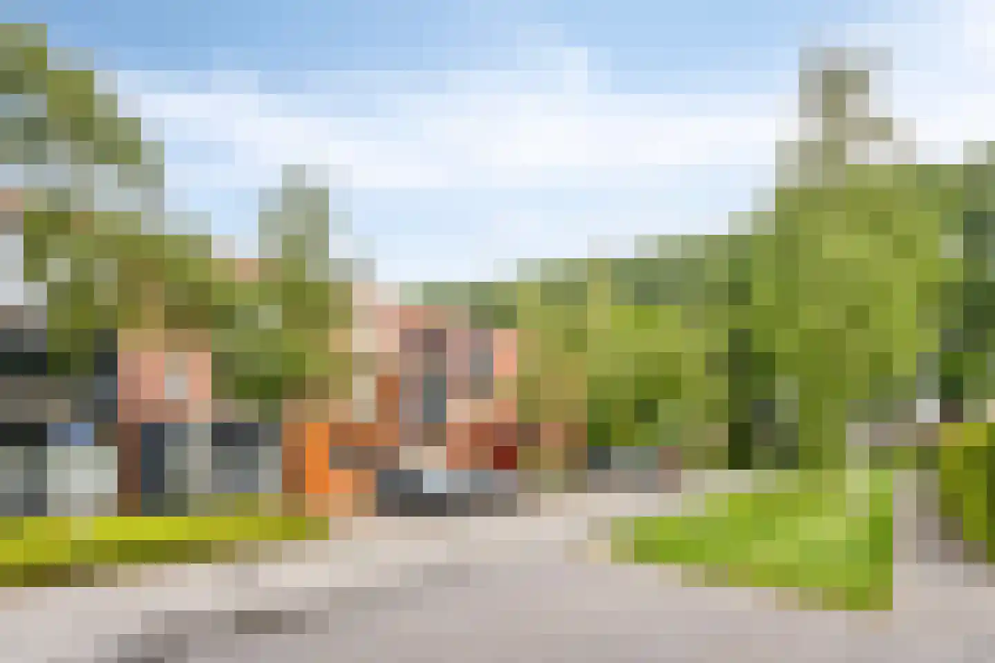 Grasbloem 109 Eindhoven thumbnail 6