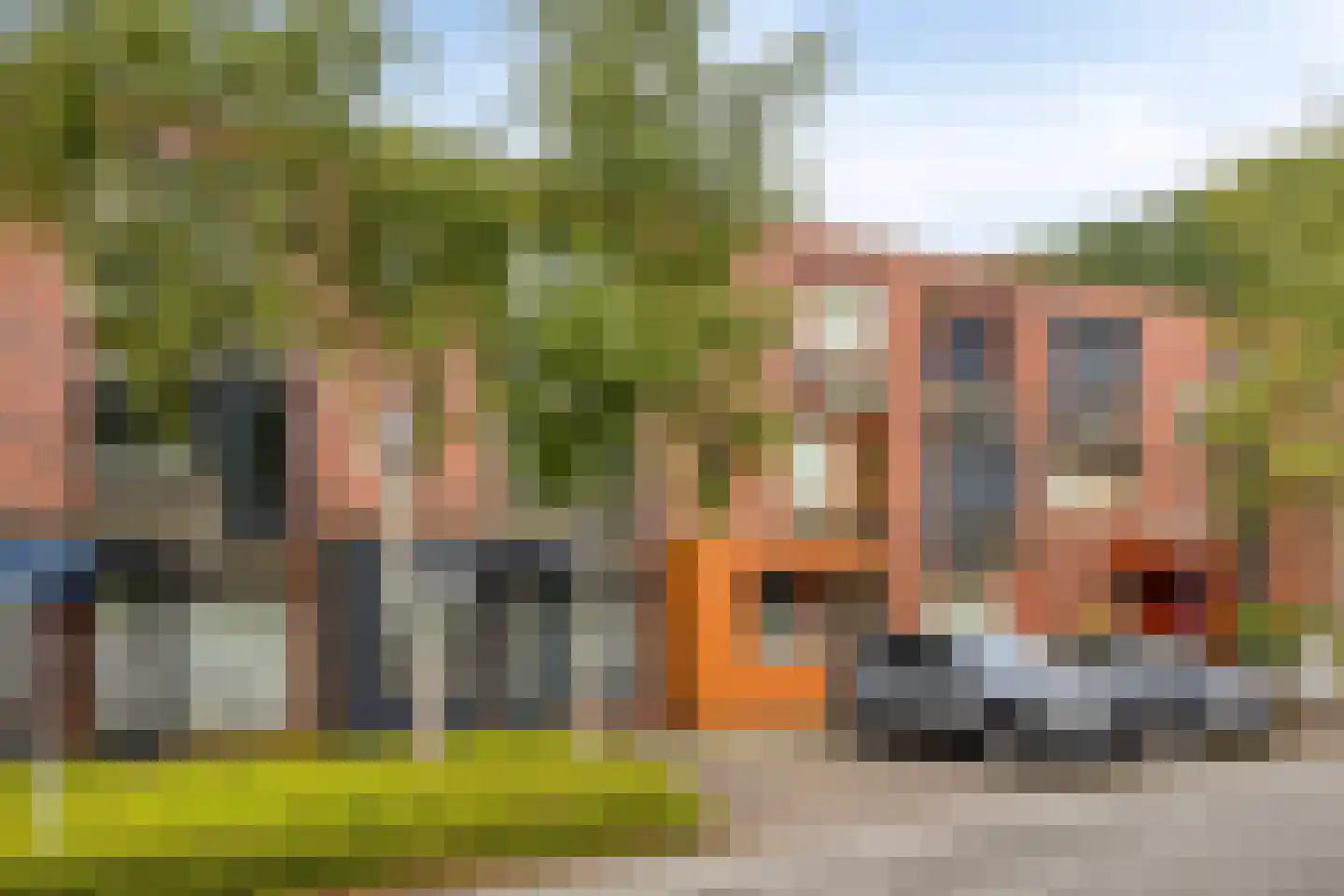 Grasbloem 109 Eindhoven thumbnail 7