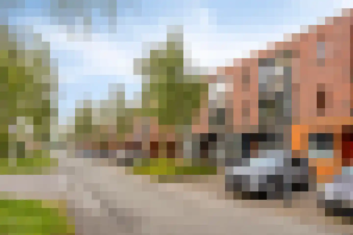 Grasbloem 109 Eindhoven thumbnail 7