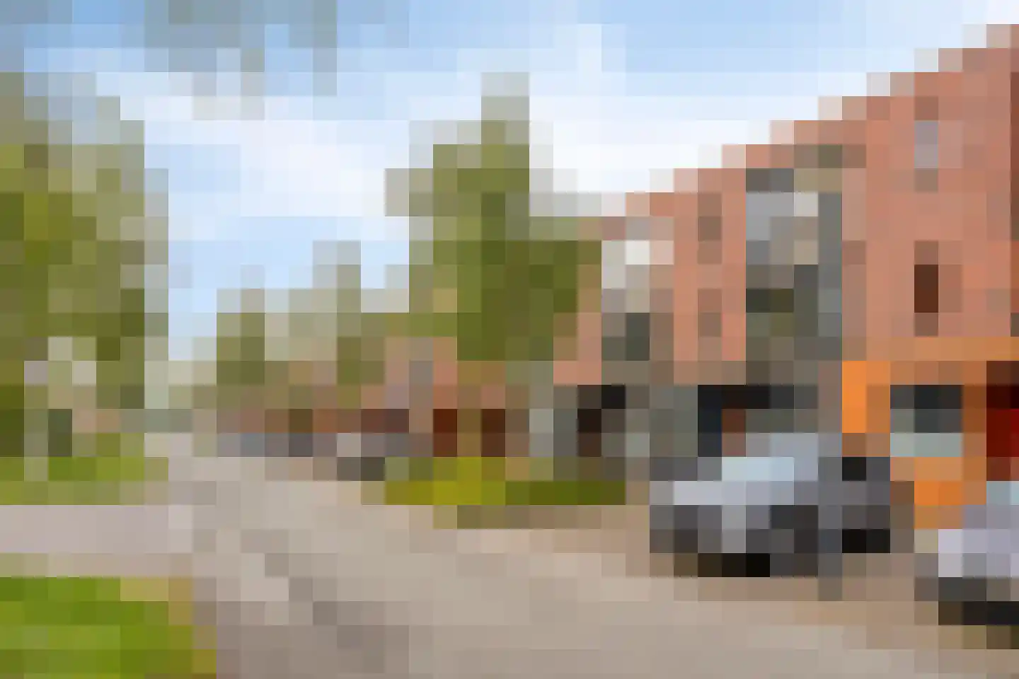 Grasbloem 109 Eindhoven thumbnail 8