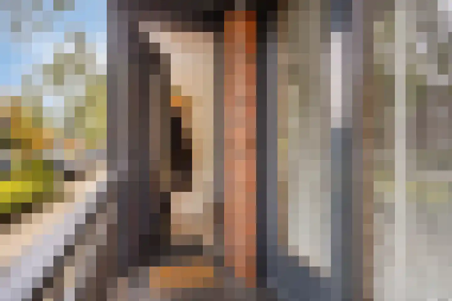 Grasbloem 109 Eindhoven thumbnail 9