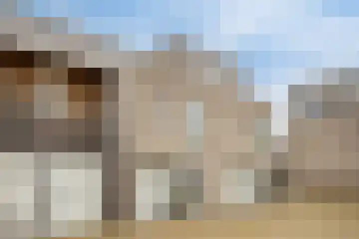 Grasbloem 2 E Eindhoven