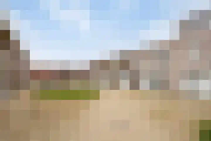 Grasbloem 2 E Eindhoven thumbnail 10