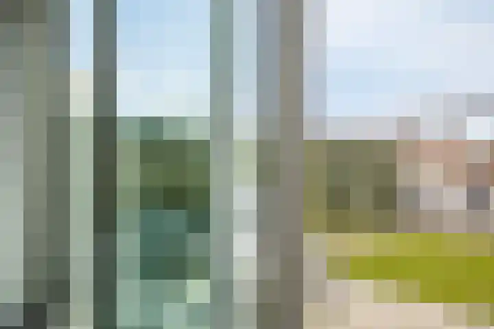 Grasbloem 2 E Eindhoven thumbnail 32