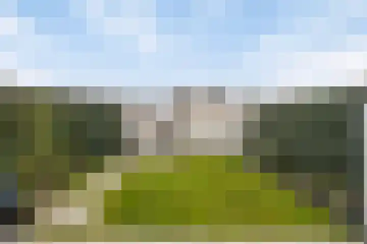 Grasbloem 2 E Eindhoven thumbnail 33