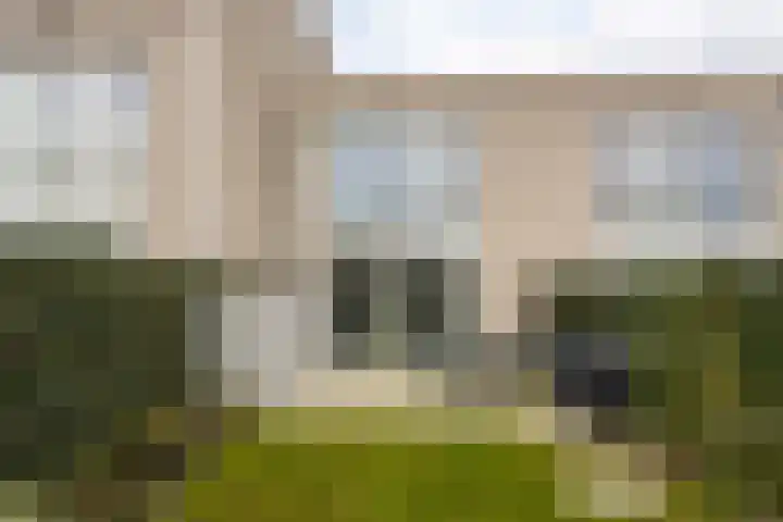 Grasbloem 2 E Eindhoven thumbnail 34